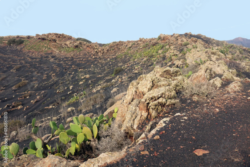 Spain. Volcanic landscape of Lanzarote