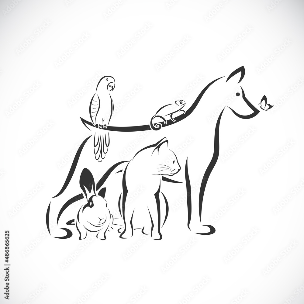 Vector group of pets - Dog, Cat, Parrot, Rabbit, Butterfly, Hummingbird, Chameleon, isolated on white background. Pet. Animals. Easy editable layered vector illustration. Pet group. Vector group of pets - Dog, Cat, Parrot, Rabbit, Butterfly, Hummingbird, Chameleon, isolated on white background. Pet. Animals. Easy editable layered vector illustration. Pet group.