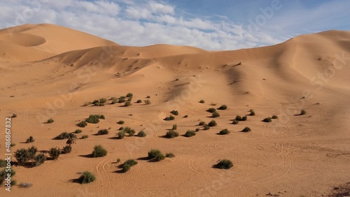 sand dunes in the desert of Algeria   taghit  