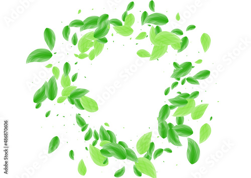 Greenish Sheet Background White Vector. Greenery Abstract Card. Vibrant Texture. Green Summer Frame. Vegetation Herbal.