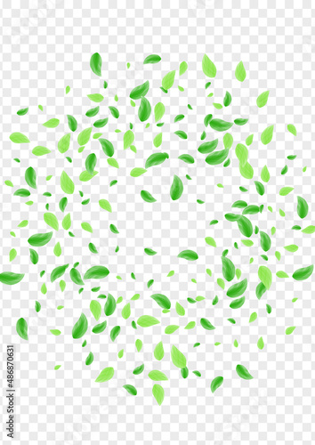 Green Leaves Background Transparent Vector. Sheet Eucalyptus Texture. Figure Design. Greenish Twig Illustration. Foliage Decoration.