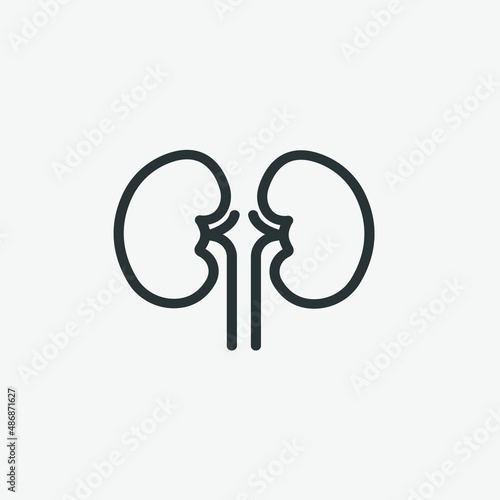 Kidney, organ vector icon isolated. medical symbol.