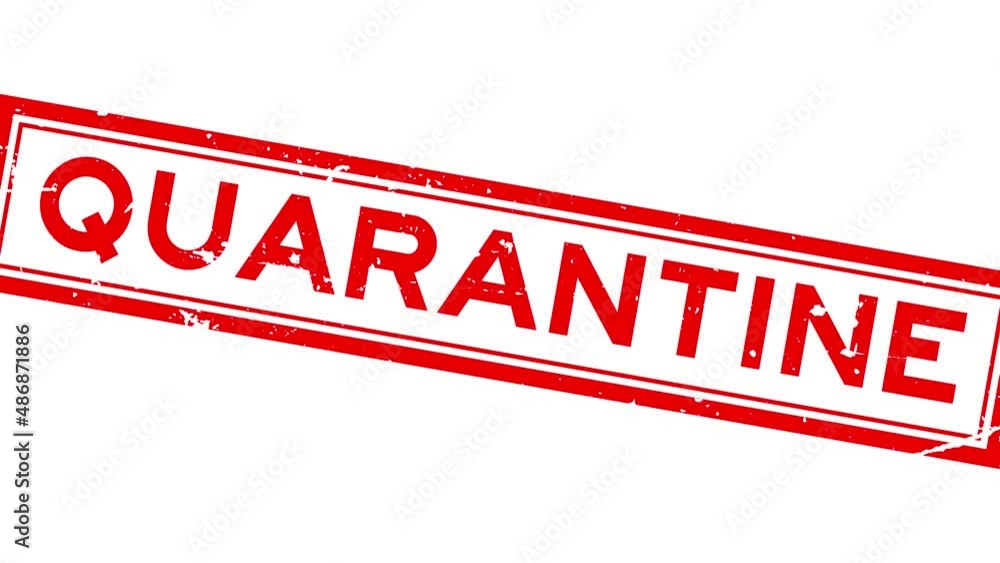 Grunge red quarantine word square rubber seal stamp zoom on white background