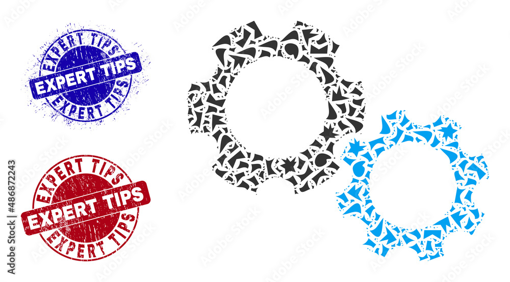Obraz premium Round EXPERT TIPS rubber stamp seals with word inside round shapes, and fraction mosaic gears icon. Blue and red stamp seals includes EXPERT TIPS text. Gears mosaic icon of fraction items.