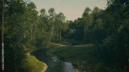 Foggy forest with birches and a river at sunrise. 3D render.