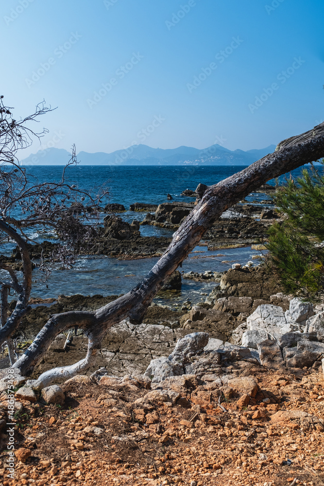 Visiting The islands of lerins: Saint Marguerite Island, In front of Cannes, South of France