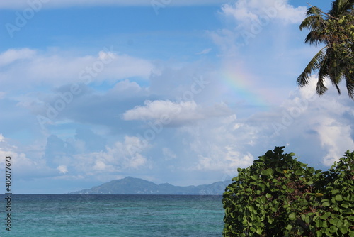 tropical island with palm tree