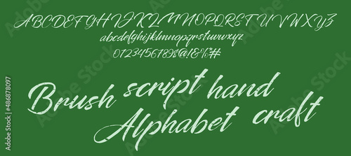 Hand drawn typeface set. Brush painted characters: lowercase and uppercase.Typography alphabet for your designs: logo, typeface, card, wedding invitation.Vector Illustration.
