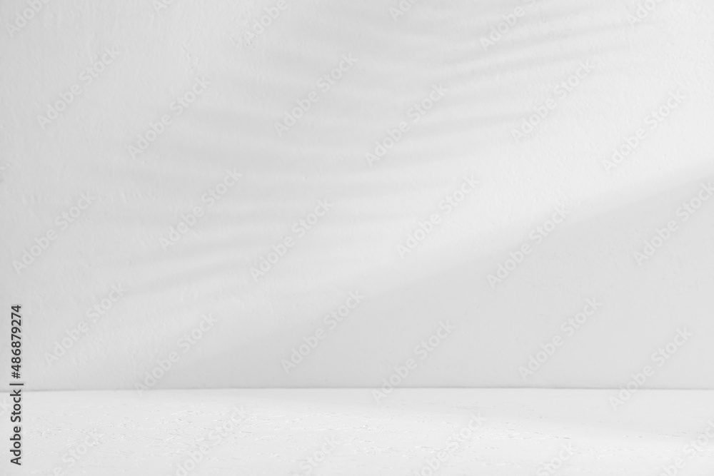 White room. White floor and wall with shadows from the leaves White room. White floor and wall with shadows from the leaves