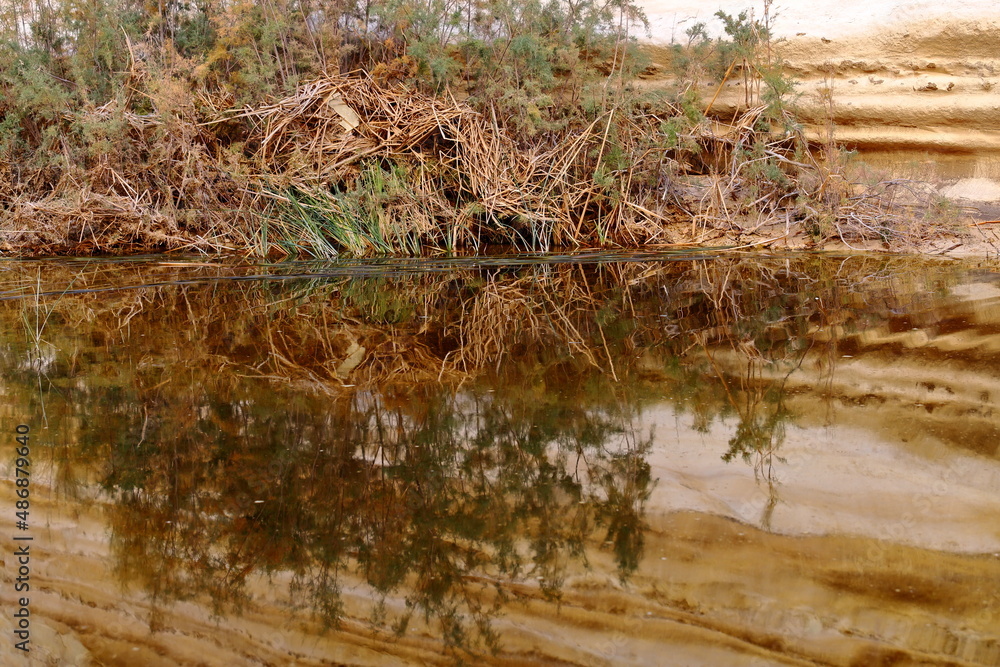 Nahal Havarim Gorge. Sde boker. Israel Nahal Havarim Gorge. Sde boker. Israel