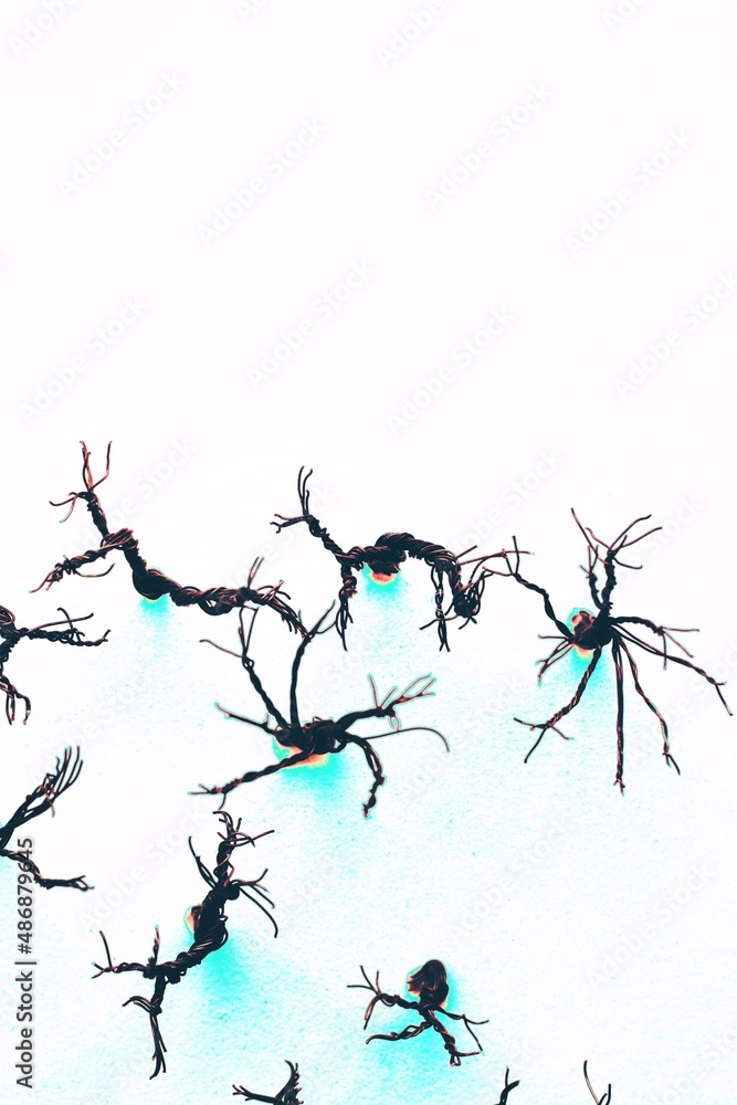 Top view of pretend trees made from wire. Top view of pretend trees made from wire.