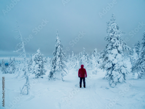 Lonely traveler in a fabulous winter forest. Severe northern weather, poor visibility. Polar expedition. Snowy slope in a foggy frost shroud.