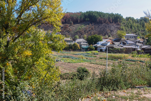 Orchard landscape in Rihonor de Castilla, Spain photo