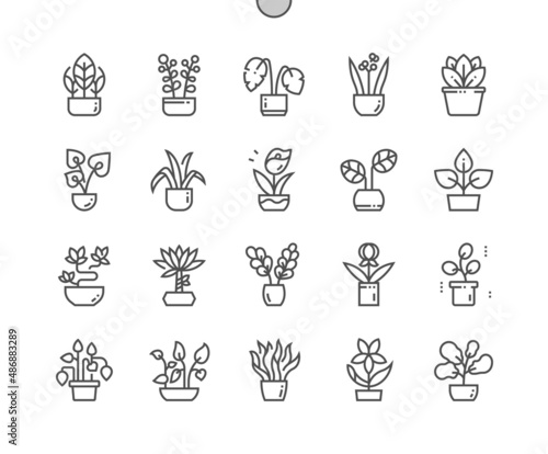 Indoor plants. Botany and flora. Flower pot. Pixel Perfect Vector Thin Line Icons. Simple Minimal Pictogram