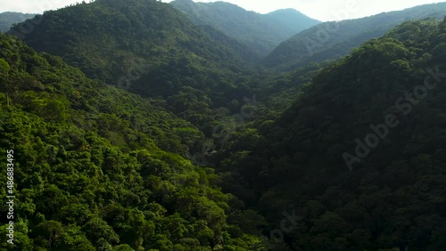 Tropical rainforest Colombian jungle aerial view dolly zoom  photo