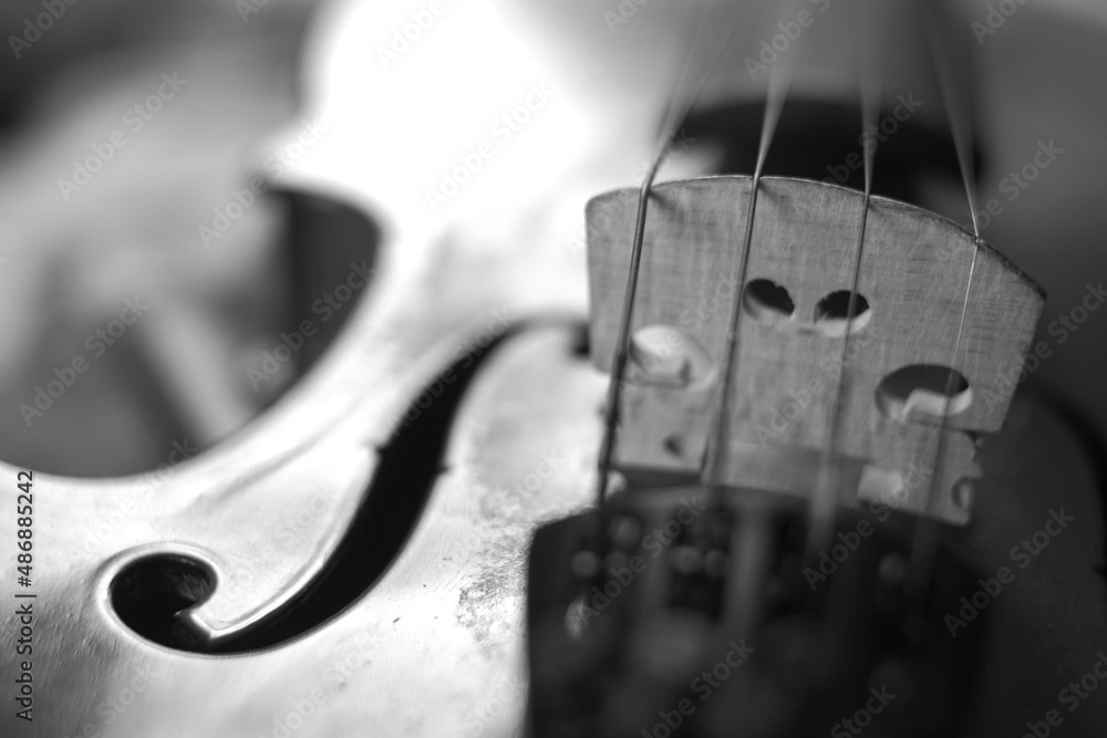 violin in close up black and white violin in close up black and white
