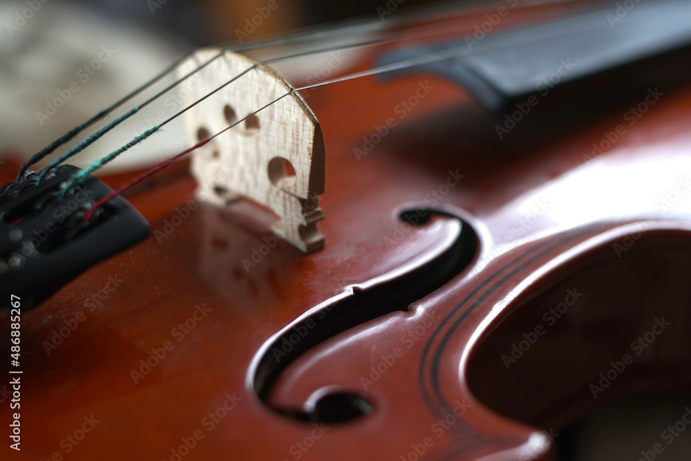 Fototapeta violin in close up