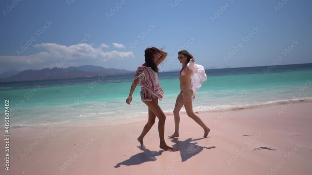 Wonderful summer day by the ocean, two happy couple are strolling along the pink sand shore smiling and enjoying each other Wonderful summer day by the ocean, two happy couple are strolling along the pink sand shore smiling and enjoying each other