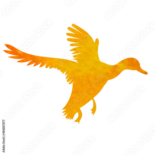 duck flying watercolor silhouette, isolated vector © zolotons