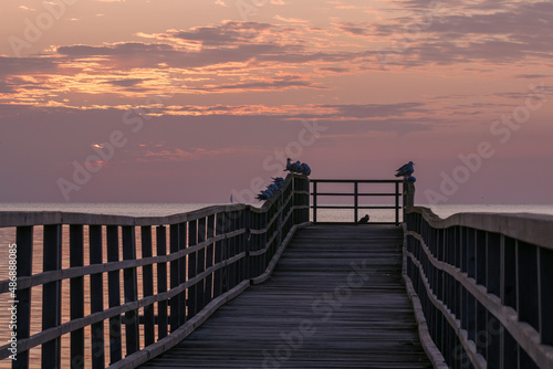 Steg mit M  wen an der Ostsee