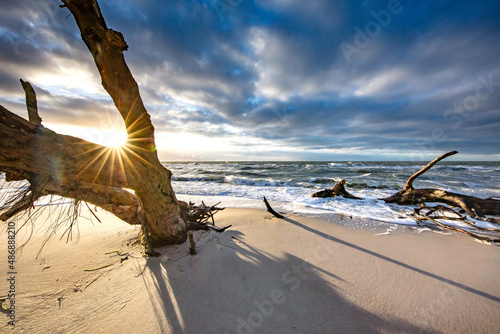 Fototapeta Naklejka Na Ścianę i Meble -  küste