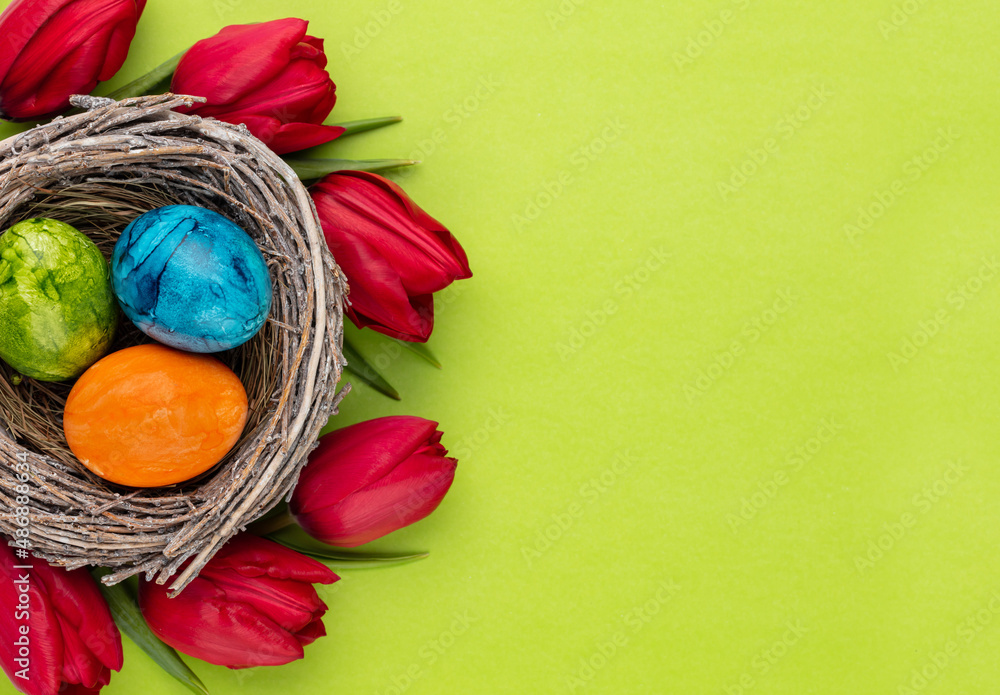 Easter eggs in the nest. Spring flowers tulips.Spring greeting card.