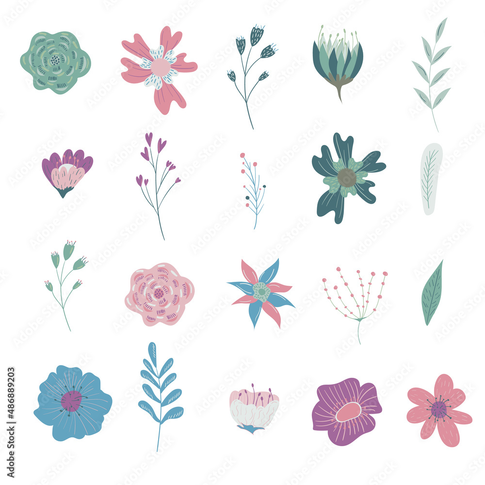 Set of flowers and leaves isolated on white background Set of flowers and leaves isolated on white background