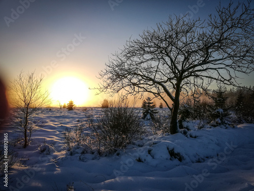 Landscape under the snow.
 