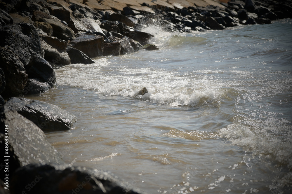 Fototapeta premium Meer 