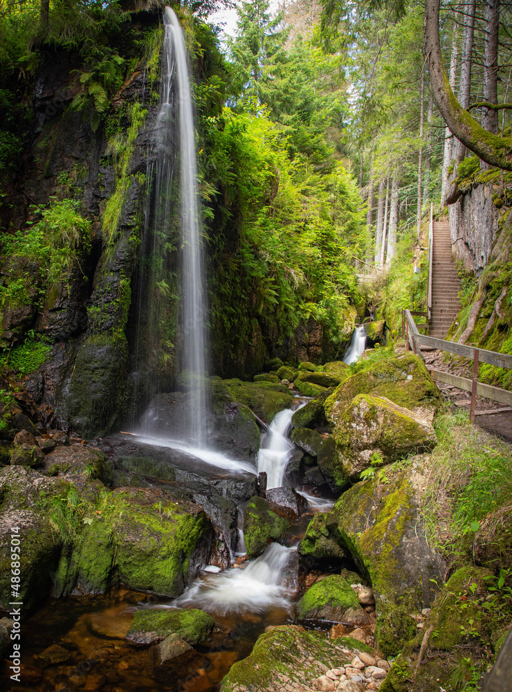 Naklejka premium waterfall in the forest
