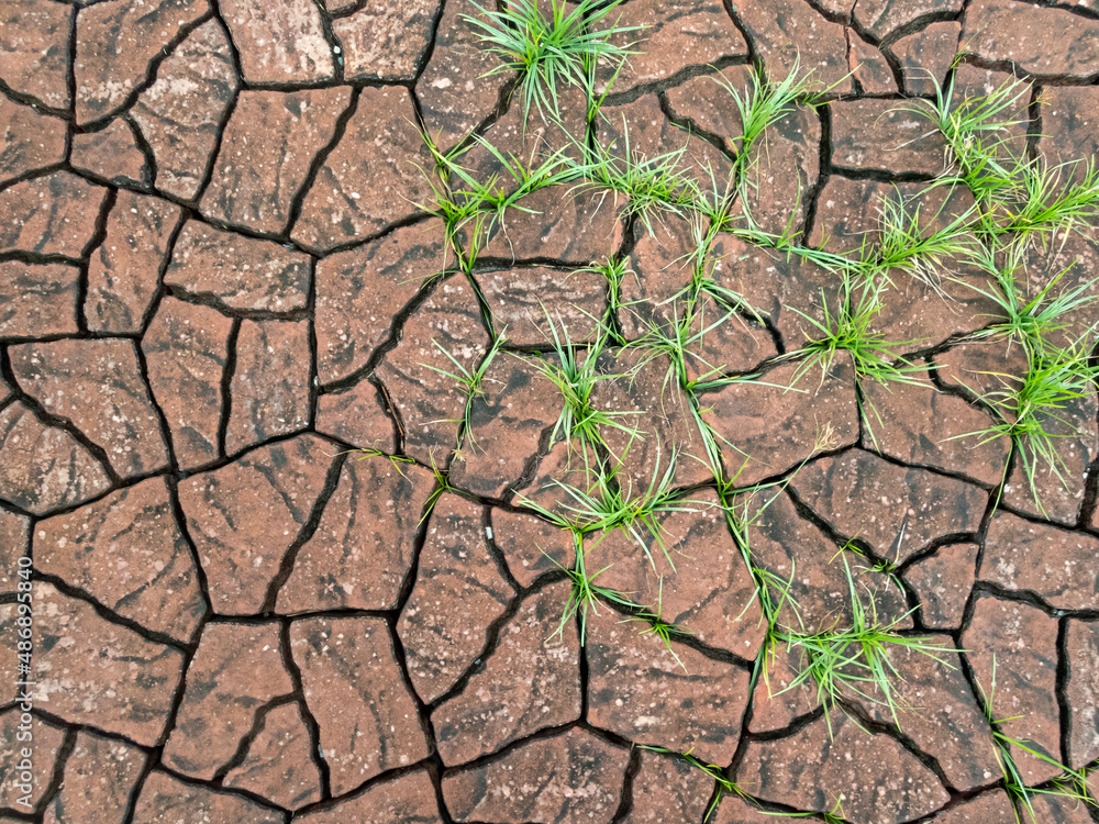 brick pattern texture on the floor in the park It looks like cracked soil gives a feeling of drought. The background gives a feeling of drought. brick pattern texture on the floor in the park It looks like cracked soil gives a feeling of drought. The background gives a feeling of drought.