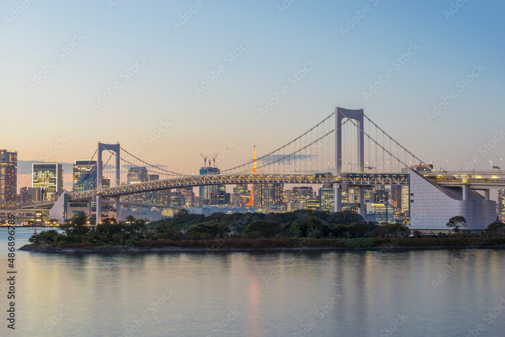 Obraz premium 東京 お台場 レインボーブリッジ 夜景