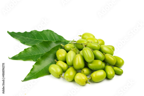 Fresh Neem fruit with neem green leaf isolated on white background.