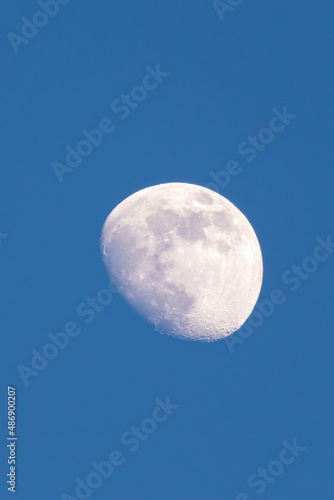 The Moon is a celestial body that orbits the planet Earth in outer space. The Moon is a natural and closest satellite to the Sun relative to the satellites of other planets. 