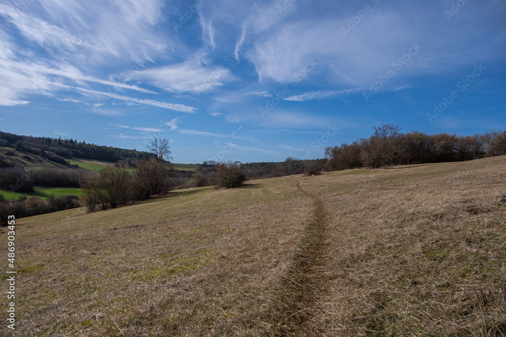 A beaten path in the Eifel on a sunny winter's day