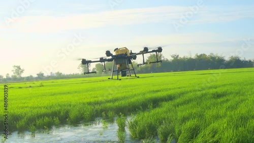 Agriculture drone flying and spraying fertilizer and pesticide over farmland,High technology innovations and smart farming