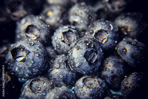 голубика собранная в лесу