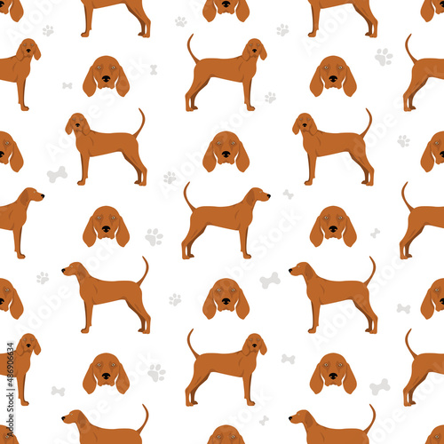 Redbone coonhound seamless pattern. Different poses, coat colors set photo