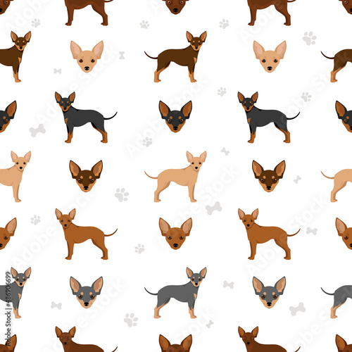 Russian toy terrier shorthaired seamless pattern. Different poses, coat colors set