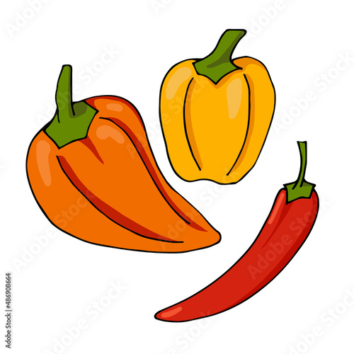 Sweet peppers and chili sketch for healthy diet food set. Paleo, vegan and keto diet. Vector illustration.