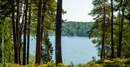 Photography View of forest by lake Drevviken near Stockholm, Sweden.