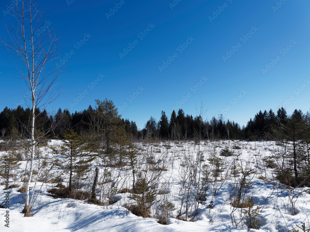 Schneebedeckten und Idyllischen Naturlandschaftsraum von Kirchseemoos bei Sachsenkam und Bad-Tolz, eines der ältesten Naturschutzgebiete Bayerns Schneebedeckten und Idyllischen Naturlandschaftsraum von Kirchseemoos bei Sachsenkam und Bad-Tolz, eines der ältesten Naturschutzgebiete Bayerns