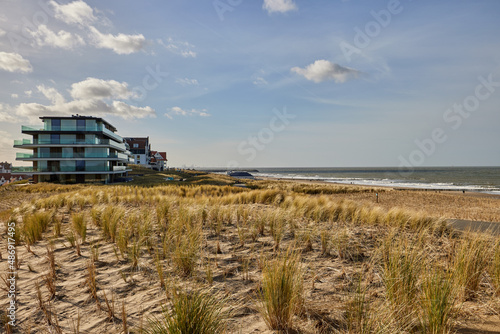 Hotels and dried plants on the beach during the winter season in Cadzand