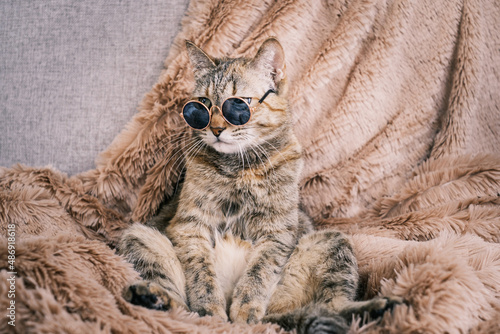 A sad ginger cat in sunglasses is resting on the sofa.