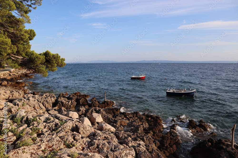Seascape on the coast of Croatia, pine trees over the sea and fishing boats near the shore