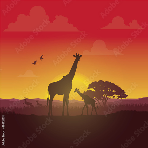 Forest silhouettes vector background, Natural vector illustration.