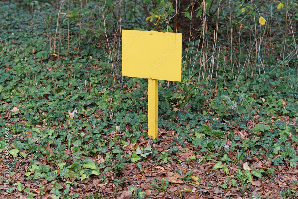 Yellow sign woods