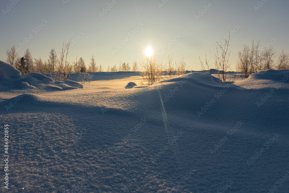 winter landscape, snow-covered desert forest-tundra in the rays of the setting sun.