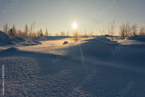 winter landscape, snow-covered desert forest-tundra in the rays of the setting sun.