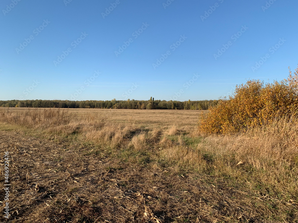 autumn Ukrainian field 